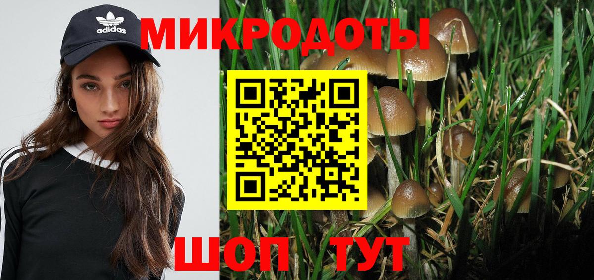 Галлюциногенные грибы Psilocybe Серов